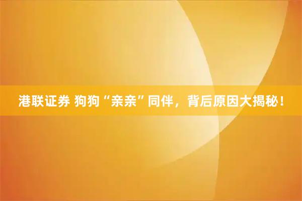港联证券 狗狗“亲亲”同伴，背后原因大揭秘！