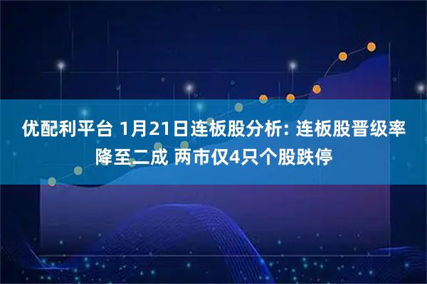 优配利平台 1月21日连板股分析: 连板股晋级率降至二成 两市仅4只个股跌停