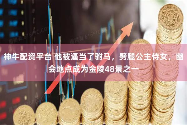 神牛配资平台 他被逼当了驸马，劈腿公主侍女，幽会地点成为金陵48景之一